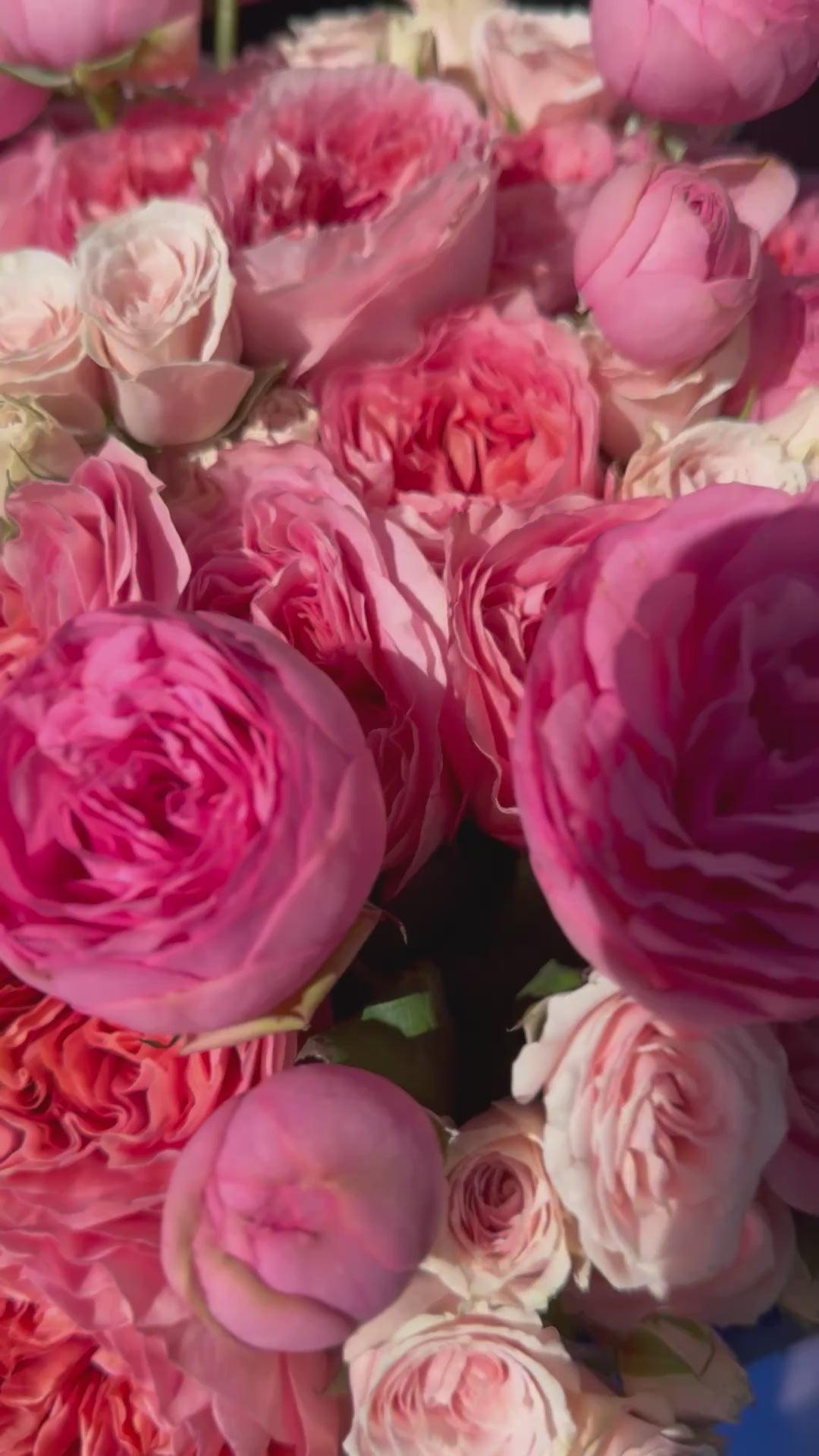 Pink Garden Roses – Luxury Handcrafted Arrangement